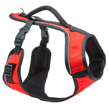 Rotes Hundegeschirr mit schwarzem Mesh-Futter, verstellbaren Riemen und einem Metall-D-Ring für den Leinenanschluss.