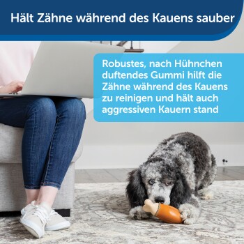 Eine Person auf einem Sofa mit einem Laptop und einem Hund, der an einem nach Huhn riechenden Spielzeug kaut, das die Zahnpflege und Haltbarkeit fördert.
