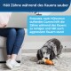 Eine Person auf einem Sofa mit einem Laptop und einem Hund, der an einem nach Huhn riechenden Spielzeug kaut, das die Zahnpflege und Haltbarkeit fördert.