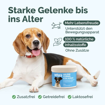 Beagle mit Vetura-Gelenkdose; sichtbarer Text: 'Starke Gelenke bis ins Alter'; 'Zusatzfrei/Getreidefrei/Laktosefrei'.