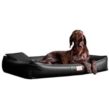 ® CLIFFORD LATEX Orthopädische Hundematratze schwarz 85 cm, 16 cm, 60 cm