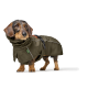 Ein Dackel trägt einen stilvollen olivgrünen Hundemantel mit Kapuze und reflektierenden Akzenten, steht vor einem weißen Hintergrund.