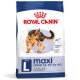 Royal Canin Maxi Adult dog food bag, featuring a German Shepherd on the front, labeled for dogs weighing 26 to 44 kg.