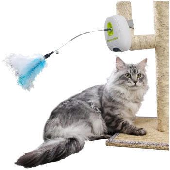 Grau langhaarige Katze neben einem Sisal-Kratzbaum mit weißem automatischem Feder-Spielzeug, beschriftet ‚Interactivos‘ (blau-weiße Feder).