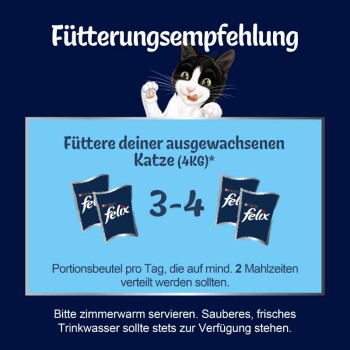 Bild einer schwarz-weißen Katze mit Fütterungstipps: 3-4 Portionen Felix täglich für eine 4kg Katze, bei Zimmertemperatur mit frischem Wasser serviert.