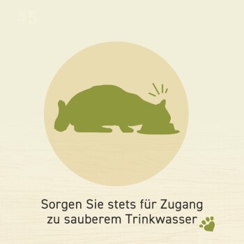 Silhouette eines trinkenden Haustiers mit dem Text "Sorgen Sie stets für Zugang zu sauberem Trinkwasser" auf einem hellen Hintergrund.