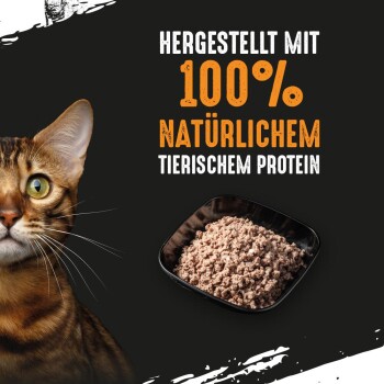 Eine Nahaufnahme des Gesichts einer Bengal-Katze neben einer Schüssel mit Katzenfutter, mit dem Text "Hergestellt mit 100% natürlichem tierischem Protein."