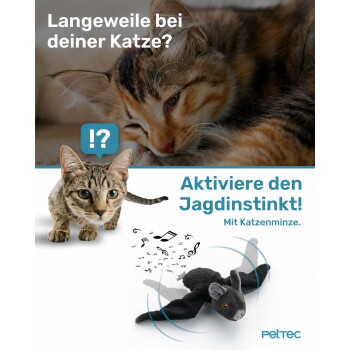 Bild eines verspielten Katzenspielzeugs in Form einer Fledermaus, das die Interaktion für Katzen mit Katzenminze fördert. Text lautet "Aktiviere den Jagdinstinkt! Mit Katzenminze."