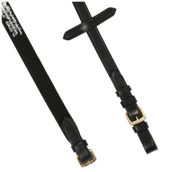 Schwarze Haustierleine aus einer Kombination von strapazierfähigem Stoff und Leder, mit goldenen Schnallen und verstellbaren Riemen.