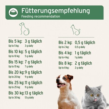 Fütterungsempfehlungstabelle für Haustiere, die tägliche Futtermengen für Hunde und Katzen basierend auf dem Gewicht auflistet, mit Bildern eines Hundes und einer Katze.