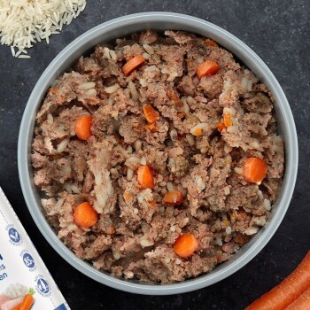 Schüssel mit Nassfutter für Hunde mit Reis- und Karottenstücken, Reiskörnern und einer Karotte auf dunklem Untergrund.