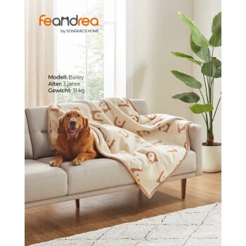 Bailey, ein 3-jähriger Golden Retriever, sitzt auf einem grauen Sofa mit einer beigen Decke mit Hundemuster und einer grünen Pflanze im Hintergrund.