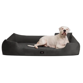 Ein weißer Hund, der auf einem plüschigen, grauen Hundebett mit erhöhten Seiten liegt, das ein kleines schwarzes Etikett mit der Aufschrift "Hundebett" trägt.