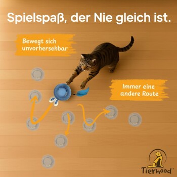 Eine verspielte getigerte Katze spielt mit einem blauen Spielzeug auf einem Holzboden, mit Pfeilen, die ihre Bewegung zeigen. Text: 'Spielspaß, der Nie gleich ist.'