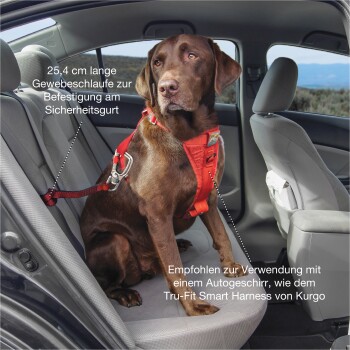Ein brauner Hund in einem roten Geschirr sitzt in einem Auto, gesichert mit einem Gurt. Der Text erwähnt eine 25,4 cm große Schlaufe für die Verwendung des Sicherheitsgurts mit einem Geschirr.
