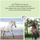 Zwei Pferde: ein weißes Pferd, das am Strand läuft, und ein braunes Pferd in einer grünen Umgebung. Der Text spricht über Pellets für aktive Pferde.