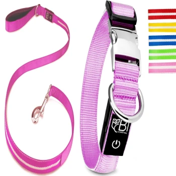 Ein pinkes Haustier-Leinen- und Halsbandset mit einer silbernen Schnalle und D-Ring, begleitet von bunten Halsbandriemen in Rot, Gelb, Blau, Grün und Pink.