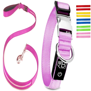 Ein pinkes Haustier-Leinen- und Halsbandset mit einer silbernen Schnalle und D-Ring, begleitet von bunten Halsbandriemen in Rot, Gelb, Blau, Grün und Pink.