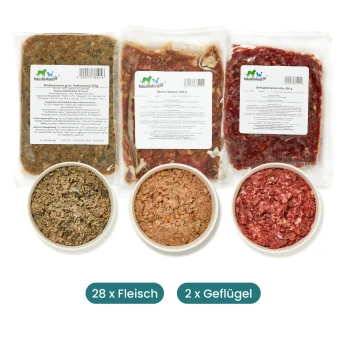 Gefrorene Tierfutterpakete, die mit drei Schalen verschiedener Fleischsorten ausgestellt sind; Etiketten zeigen 28 Rind- und 2 Geflügelportionen an.
