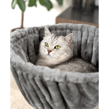 Eine silberne getigerte Katze mit leuchtend grünen Augen, die sich bequem in einem plüschigen, grauen Haustierbett ausruht.