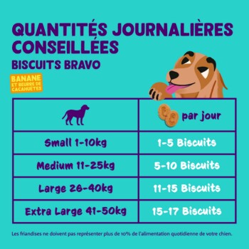 Graphique coloré intitulé "Quantités Journalières Conseillées" pour Bravo Biscuits, montrant les recommandations quotidiennes de biscuits par taille de chien.