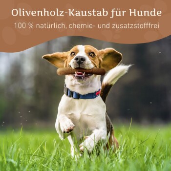 Ein glücklicher Hund kaut auf einem Olivenholzstock, mit dem Text: "Olivenholz-Kaustab für Hunde" und "100% natürlich, chemie- und zusatzstofffrei."