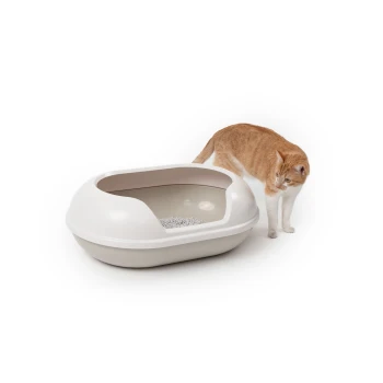 Eine hellfarbige Katzenklo mit offenem Deckel und grauem Streu darin, neben einer orangefarbenen Tabby-Katze, die neugierig darin schnüffelt.