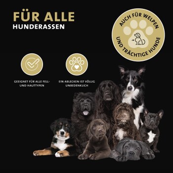 Bild von verschiedenen Hunderassen auf schwarzem Hintergrund mit dem Text "Für alle Hunderassen," der die Sicherheit für alle Felltypen, Welpen und tragende Hunde betont.