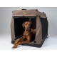 Eine braune Haustierbox mit Netzseiten, in der ein entspannter Hund sitzt, um ein robustes Design zu zeigen, das ideal für Reisen mit Haustieren ist.