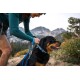 Eine Frau in einem türkisfarbenen Langarmshirt befestigt ein blaues Geschirr an einem Rottweiler in einer bergigen Umgebung im Freien.