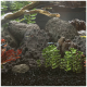 Aquarium-Szene mit bunten Fischen, die zwischen Steinen, Wasserpflanzen und Treibholz schwimmen und einen lebendigen Unterwasserlebensraum schaffen.