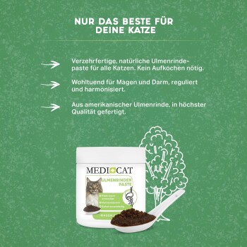 Ulmenrinde Paste