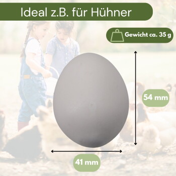 Weißes Hühnerei mittig mit Pfeilen, die 54 mm × 41 mm anzeigen, Gewicht ca. 35 g; sichtbarer Text ‚Ideal z. B. für Hühner‘.