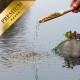 Eine Hand gießt grüne Fischfutterpellets aus einer Holzschaufel in einen Teich, mit einem goldenen Banner "PREMIUM" in der Ecke.
