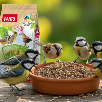 Vogelfuttersamen-Mischung in einer Terrakottaschale mit fünf kleinen Vögeln, die fressen, neben einer PANTO Gartentraum Vogelfuttertüte.