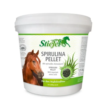 Behälter mit Stiefel Spirulina-Pellets für Pferde, zeigt das Gesicht eines braunen Pferdes und grüne Akzente, die Aminosäuren und Muskelunterstützung betonen.