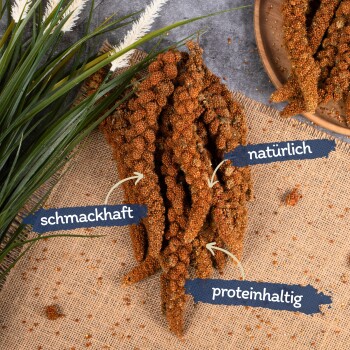 Nahaufnahme von strukturierten braunen Haustierleckerlis auf Jute, beschriftet mit "schmackhaft", "natürlich" und "proteinhaltig."
