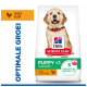 Zak Hill's Science Plan puppyvoer met golden retriever puppy, voor grote rassen, met kip — PUPPY <1, 5 essentiële voordelen