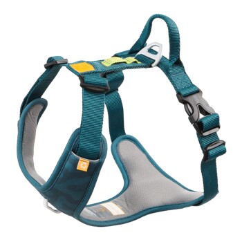 Geschirr Roam Deep Teal S