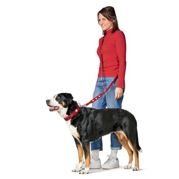 Eine Frau in einem roten Langarmshirt und blauen Jeans steht neben einem schwarz-braunen Hund an einer roten Leine und lächelt in die Kamera.