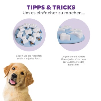 Bild eines Hundespielzeugs-Puzzles mit weißen, knochenförmigen Teilen auf einem blauen Untergrund. Textanweisungen auf Deutsch geben Tipps zur Verwendung.