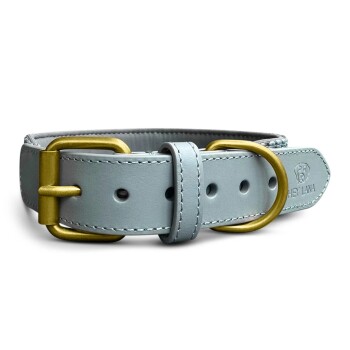 Hellblaues Leder-Hundehalsband mit goldenen Beschlägen und verstellbarem Schnallenverschluss, mit dem eingeprägten Text "HEY LANA!" an der Seite.