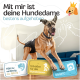 Beagle in einem schwarzen Mantel mit dem Text: "Bester Komfort für Ihren Hund", "Hochabsorbierend", "5 Größen", "3 Anpassungen", "Weiche Fütterung."