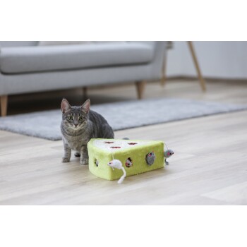 Grau getigerte Katze sitzt neben einem grünen katzenförmigen Spielzeug in Käseform mit kleinen befestigten Mäusen auf einem Holzboden.