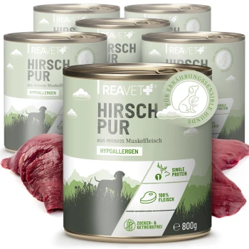 Dosen von REAVET+ Hirsch Pur Hundefutter, mit einem grünen Etikett mit "Hirsch Pur" und "Hypoallergen" Text, neben rohem Fleisch.