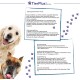 TierPlus-Hundezusatz mit einem Golden Retriever und einem Boxer. Enthält Fütterungsempfehlungen, Zutaten und Nährwertinformationen.