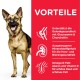 Ein Deutscher Schäferhund auf rotem Hintergrund hebt Vorteile hervor: Glucosamin für Gelenke, ausgewogene Mineralien für Herz/Nieren und Omega-6 für die Haut.