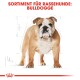 Illustration eines Bulldogs mit dem Text "SORTIMENT FÜR RASSEHUNDE: BULLDOGGE" darüber, im detaillierten Zeichenstil.