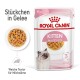 Royal Canin Kittenfutterbeutel, 85g x 12, mit weichen Stückchen in Gelee, geeignet für Kätzchen bis zu 12 Monaten, mit einem Katzenbild.