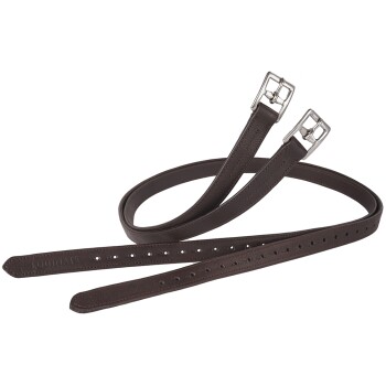 Braunes Lederhalsband für Hunde mit silbernen Schnallen und mehreren Einstelllöchern, vor einem weißen Hintergrund präsentiert.